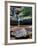 Quatri-Jim Crotty-Framed Photographic Print