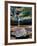 Quatri-Jim Crotty-Framed Photographic Print