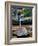 Quatri-Jim Crotty-Framed Photographic Print