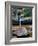 Quatri-Jim Crotty-Framed Photographic Print