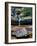 Quatri-Jim Crotty-Framed Photographic Print