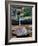 Quatri-Jim Crotty-Framed Photographic Print