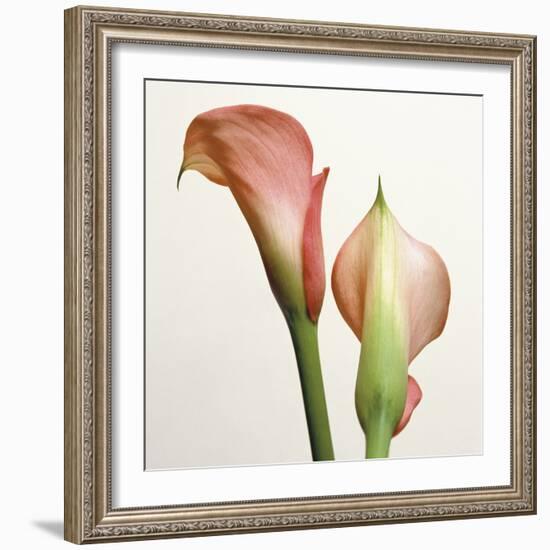 Quattro Gigli III-Bill Philip-Framed Giclee Print