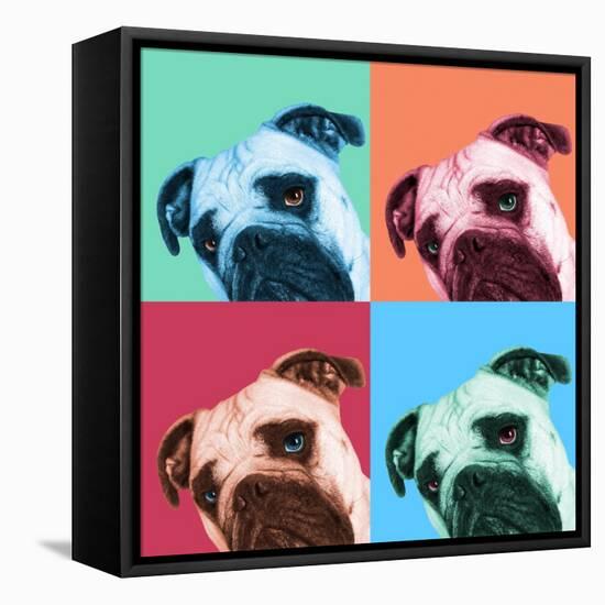 Que Pasa Pop-Jon Bertelli-Framed Stretched Canvas