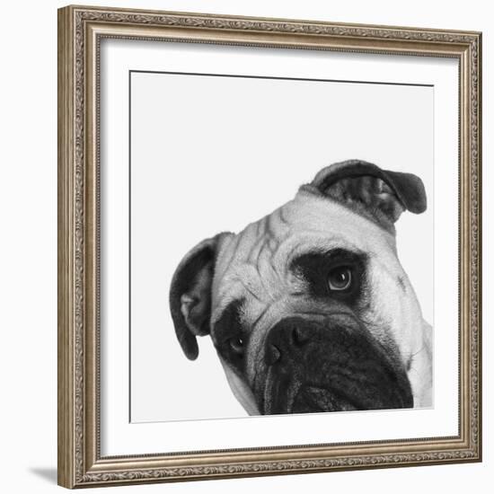 Que Pasa?-Jon Bertelli-Framed Photographic Print