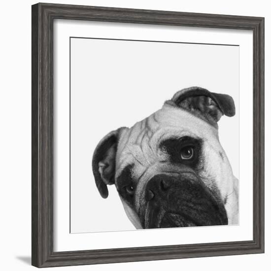 Que Pasa?-Jon Bertelli-Framed Photographic Print