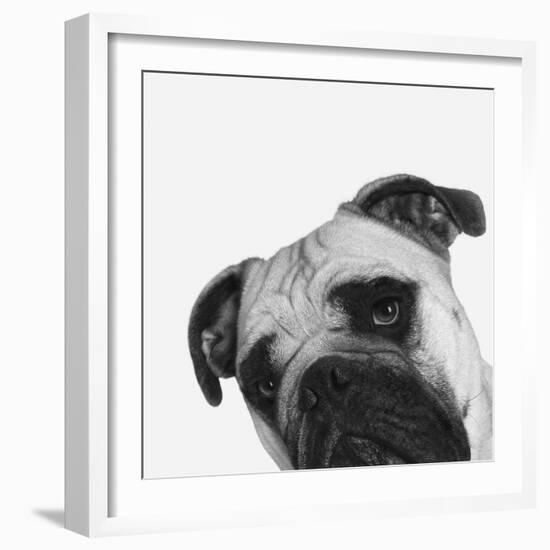 Que Pasa?-Jon Bertelli-Framed Photographic Print