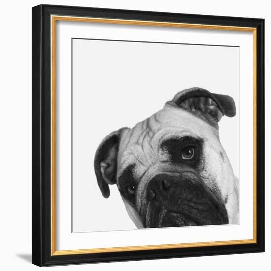 Que Pasa?-Jon Bertelli-Framed Photographic Print