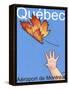 Québec Aéroport de Montréal-Jean Pierre Got-Framed Stretched Canvas