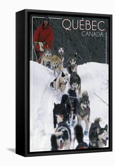 Quebec, Canada - Dogsled Scene-Lantern Press-Framed Stretched Canvas