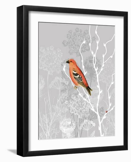 Queen Ann Morning-Tina Lavoie-Framed Giclee Print