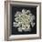 Queen Anne's Lace I-Jim Christensen-Framed Photographic Print