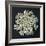 Queen Anne's Lace I-Jim Christensen-Framed Photographic Print