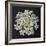 Queen Anne's Lace I-Jim Christensen-Framed Photographic Print