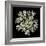 Queen Anne's Lace II-Jim Christensen-Framed Photographic Print