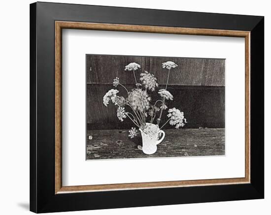 Queen Anne's Lace-Lilo Raymond-Framed Art Print