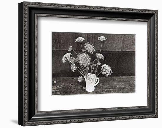 Queen Anne's Lace-Lilo Raymond-Framed Art Print