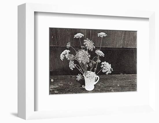 Queen Anne's Lace-Lilo Raymond-Framed Art Print