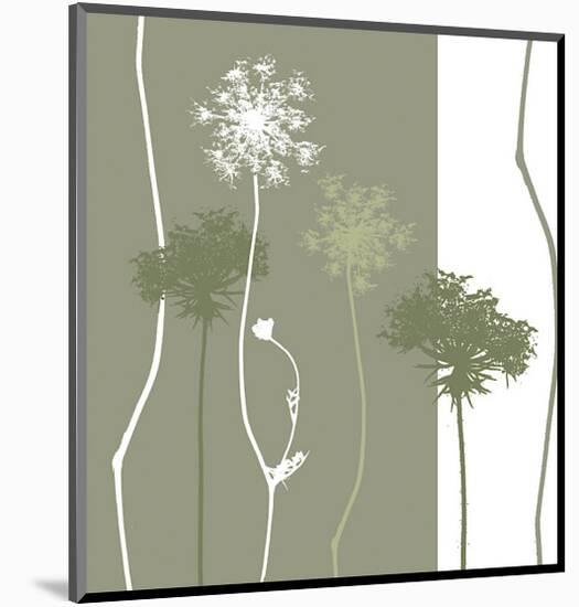 Queen Anne's Lace-Erin Clark-Mounted Giclee Print
