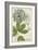 Queen Anne's Lace-Weinmann-Framed Premium Giclee Print