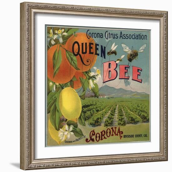 Queen Bee Brand - Corona, California - Citrus Crate Label-Lantern Press-Framed Art Print