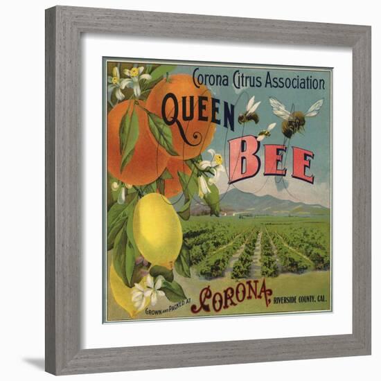 Queen Bee Brand - Corona, California - Citrus Crate Label-Lantern Press-Framed Art Print