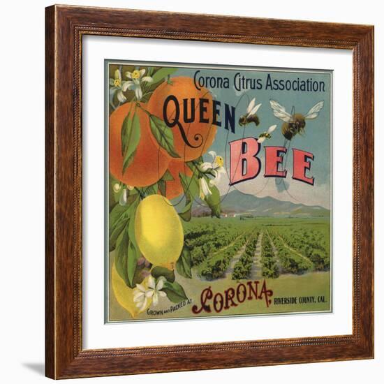 Queen Bee Brand - Corona, California - Citrus Crate Label-Lantern Press-Framed Art Print