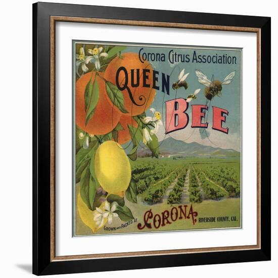 Queen Bee Brand - Corona, California - Citrus Crate Label-Lantern Press-Framed Art Print