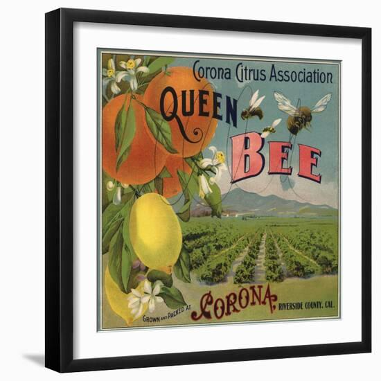 Queen Bee Brand - Corona, California - Citrus Crate Label-Lantern Press-Framed Art Print