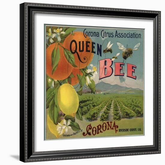 Queen Bee Brand - Corona, California - Citrus Crate Label-Lantern Press-Framed Art Print