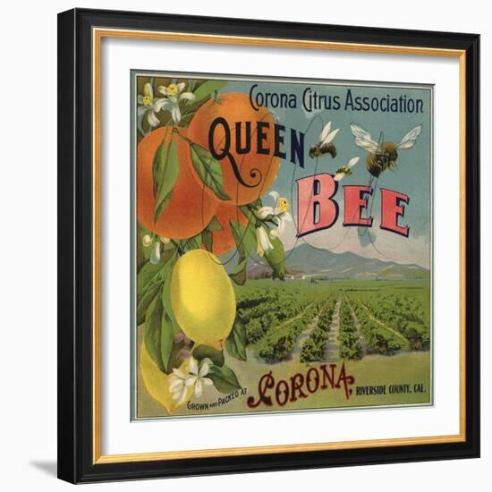 Queen Bee Brand - Corona, California - Citrus Crate Label-Lantern Press-Framed Art Print