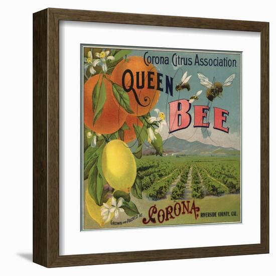 Queen Bee Brand - Corona, California - Citrus Crate Label-Lantern Press-Framed Art Print