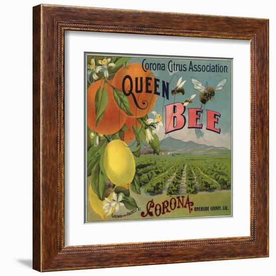 Queen Bee Brand - Corona, California - Citrus Crate Label-Lantern Press-Framed Art Print