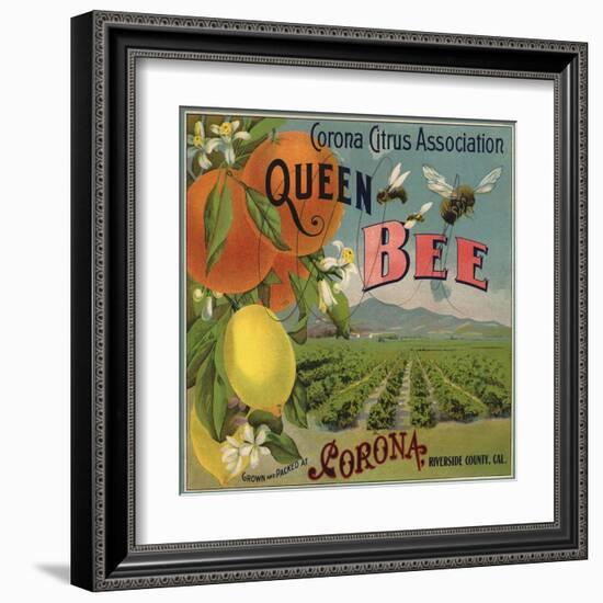 Queen Bee Brand - Corona, California - Citrus Crate Label-Lantern Press-Framed Art Print