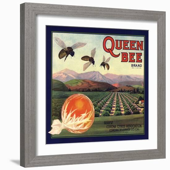 Queen Bee Brand - Corona, California - Citrus Crate Label-Lantern Press-Framed Art Print