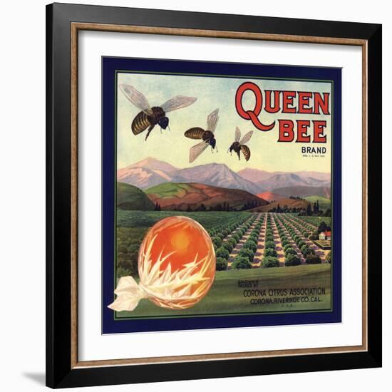 Queen Bee Brand - Corona, California - Citrus Crate Label-Lantern Press-Framed Art Print