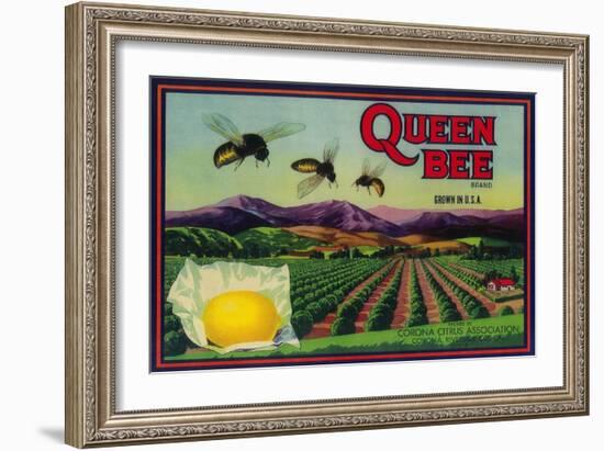 Queen Bee Lemon Label - Corona, CA-Lantern Press-Framed Art Print