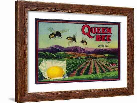 Queen Bee Lemon Label - Corona, CA-Lantern Press-Framed Art Print