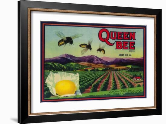 Queen Bee Lemon Label - Corona, CA-Lantern Press-Framed Art Print