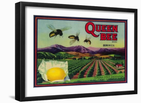 Queen Bee Lemon Label - Corona, CA-Lantern Press-Framed Art Print