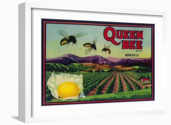 Queen Bee Lemon Label - Corona, CA-Lantern Press-Framed Art Print