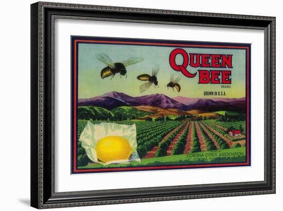 Queen Bee Lemon Label - Corona, CA-Lantern Press-Framed Art Print