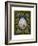 Queen Elizabeth I, 16th Century-Nicholas Hilliard-Framed Giclee Print