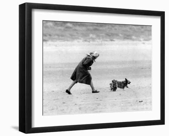 Queen Elizabeth II walking her pet corgis-Associated Newspapers-Framed Photo
