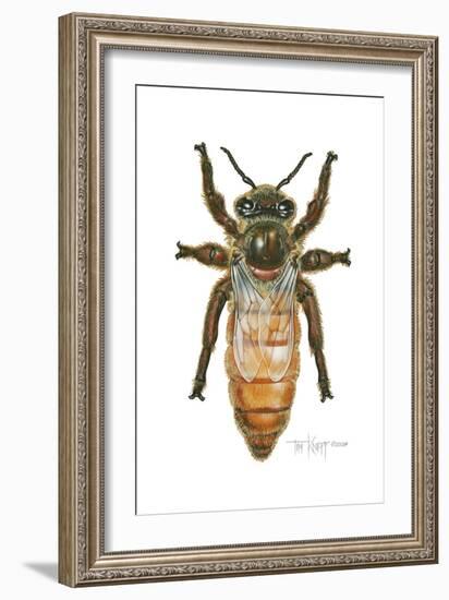 Queen Honey Bee-Tim Knepp-Framed Giclee Print