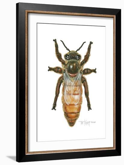 Queen Honey Bee-Tim Knepp-Framed Giclee Print