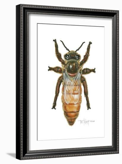 Queen Honey Bee-Tim Knepp-Framed Giclee Print