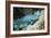 Queen Parrotfish-Georgette Douwma-Framed Photographic Print