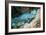 Queen Parrotfish-Georgette Douwma-Framed Photographic Print