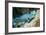 Queen Parrotfish-Georgette Douwma-Framed Photographic Print